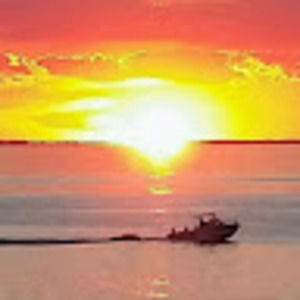 Meet your Posher, Tricia